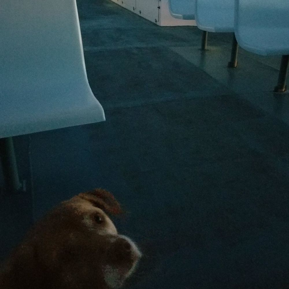 Meet your Posher, Nancy